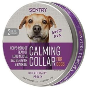 Calming collar dog